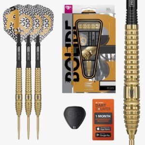Bolide Envy 03 90% SP Steel Tip